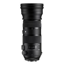 Sigma 150-600mm f/5-6,3 DG OS HSM Sports - Nikon | 3 LATA GWARANCJI